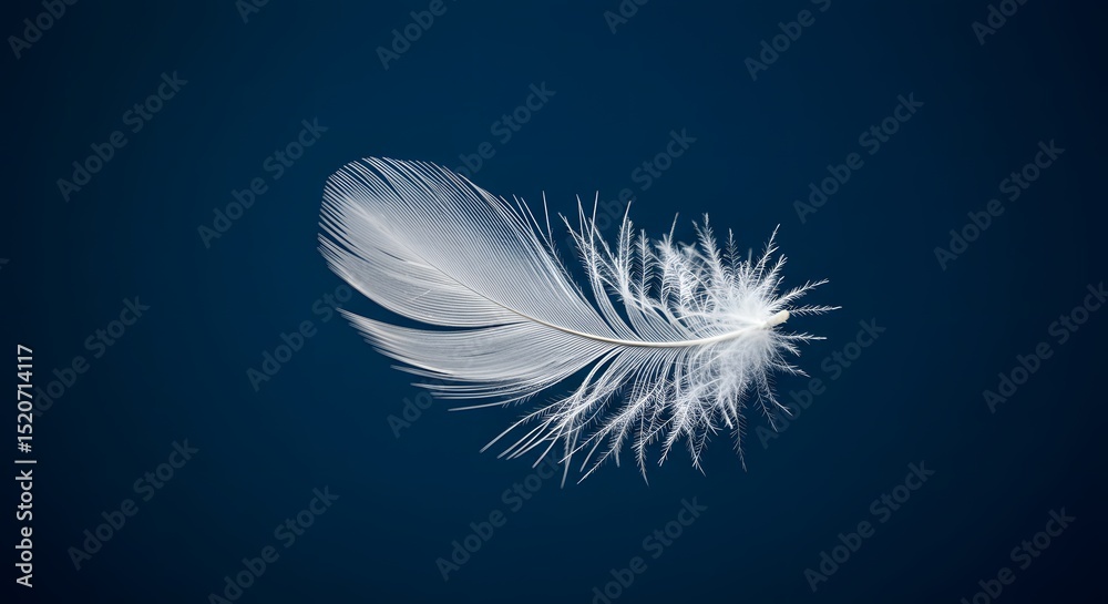 Obraz premium Floating White Feather