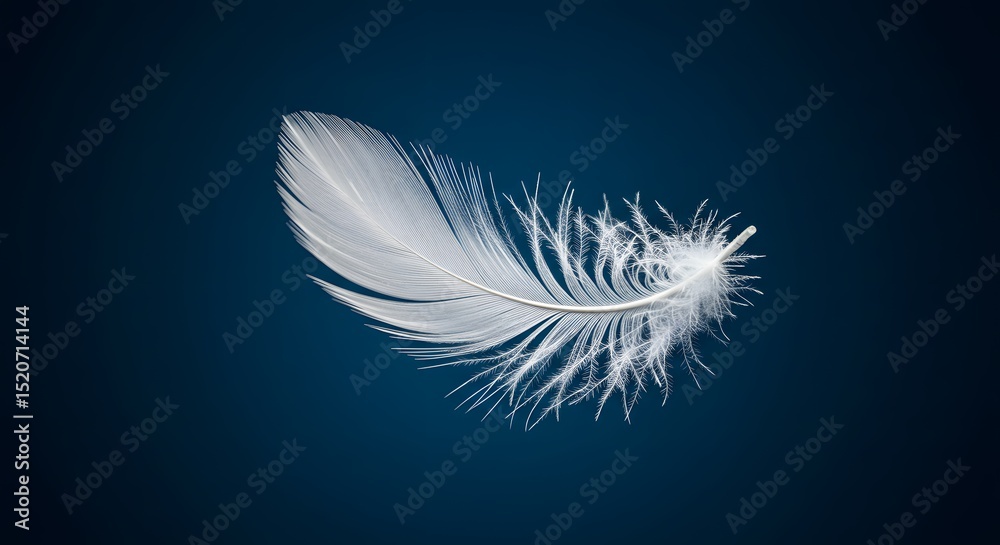 Naklejka premium white feather on blue background