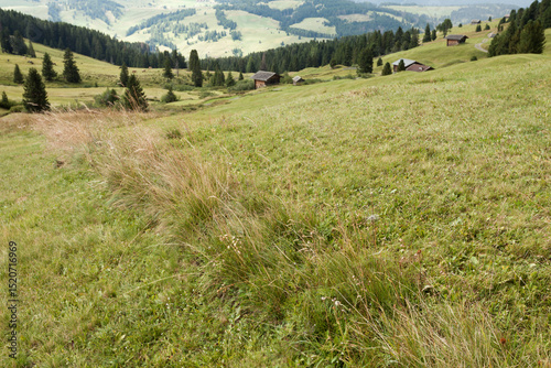 small house over a mountain pasture in Dolomites with wonderful panorama