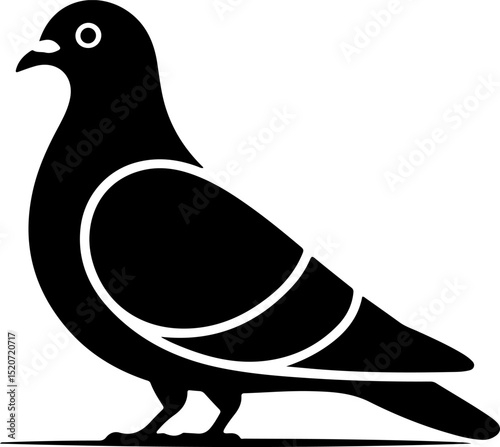pigeon silhouette vector