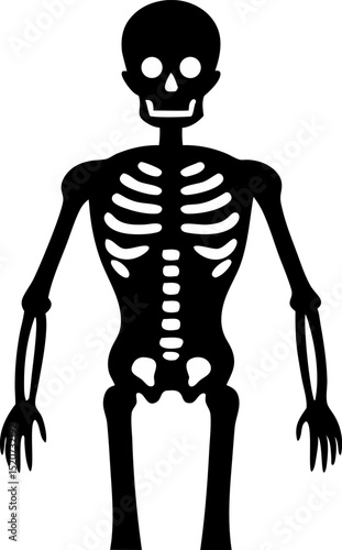 Human Skeleton Silhouette Vector Illustration 