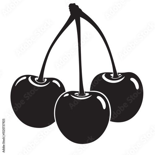 Black and white vector illustration of three ripe cherries with stems on white background