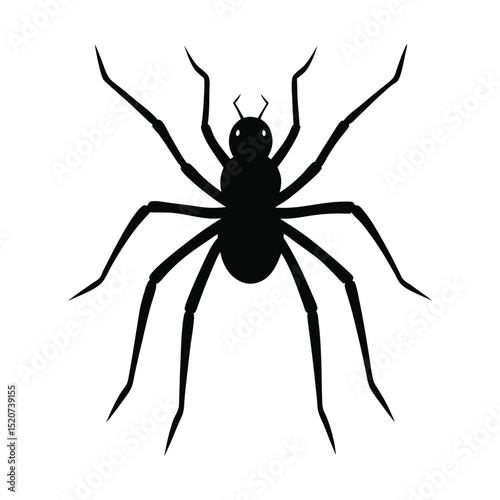 Silhouette vector illustration of a crawling spider 