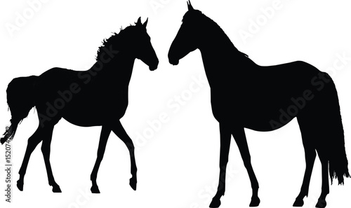   silhouette set of horses cutout isolate into transparent background 