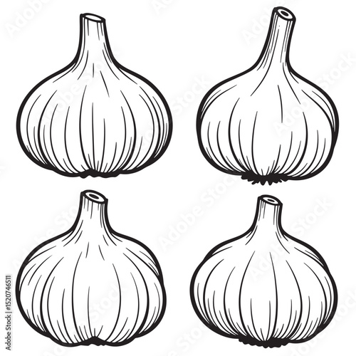 Four detailed black and white garlic bulbs illustration for culinary or educational purposes.
