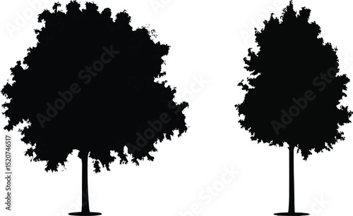 vector tree silhouette cutout isolate into transparent background