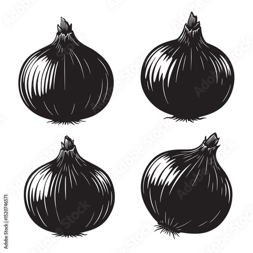 Hand drawn silhouettes of onions in a vintage engraving style for culinary design
