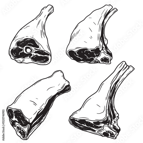 Artistic illustration of hand drawn silhouettes of freshly cut beef cuts for culinary and butchery usage
