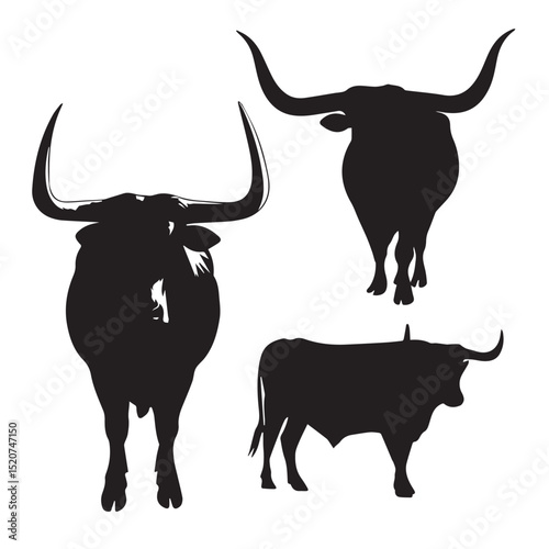 black bull isolated on white