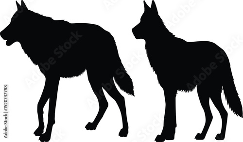 vector silhouette set of wolf cutout isolate into transparent background