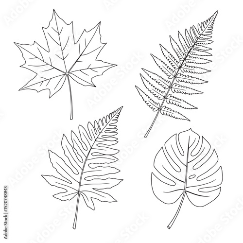 Vector outlines of various leaf types for design and decorative purposes