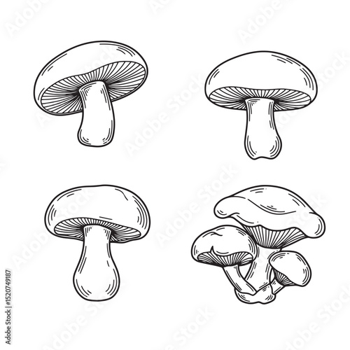 Hand drawn mushroom illustrations isolated on white background silhouette concept