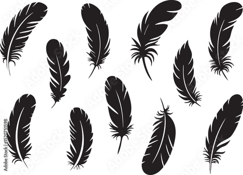 Elegant Black Feather Silhouettes on White Background for Design Elements
