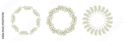 Olives Line Drawing. Black and white Olive Frame. Olive Wreath Isolated. Floral Line Art. Fine Line Olive illustration. Green and white Olive Branches. Hand Drawn Olives. Wedding invitation greenery