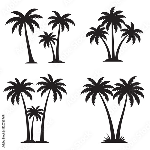 Set of black palm tree silhouettes on white background for design and decoration