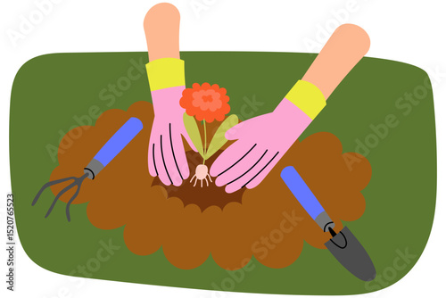 Hands in gardening gloves planting a flower into the soil. Spring gardening scene, home farming, care for nature. Flat vector illustration