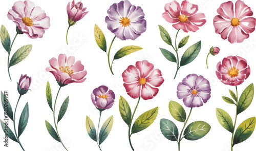 Watercolor Anemone Flowers Hand-Painted  Purple Floral Clipart Set with Green Leaves, Isolated on White Background.