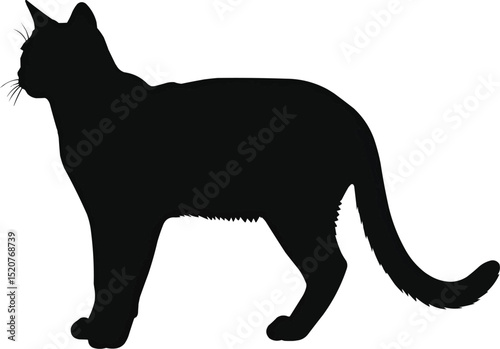 Black cat silhouette vector illustration for halloween and pet design projects and graphic resources on transparent background