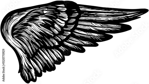 eagle Wing isolate tattoo vector