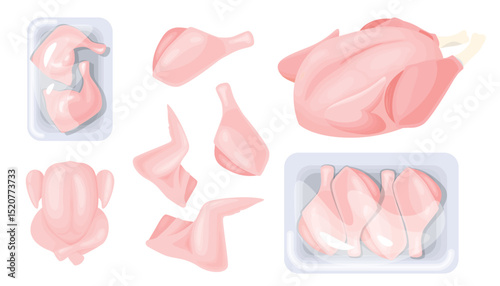Set of fresh chicken meat in cartoon style. Vector illustration of parts of chicken:whole chicken,wings,drumsticks isolated on white background.Chicken meat packed in containers with transparent wrap.