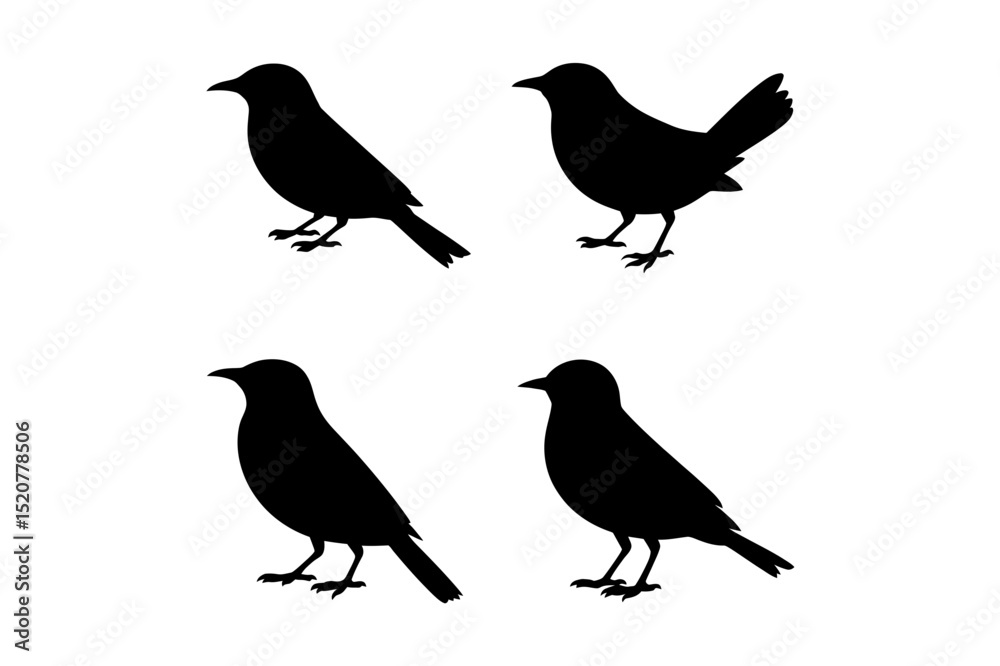 Silhouette depiction of four small birds standing Silhouette depiction of four small birds standing