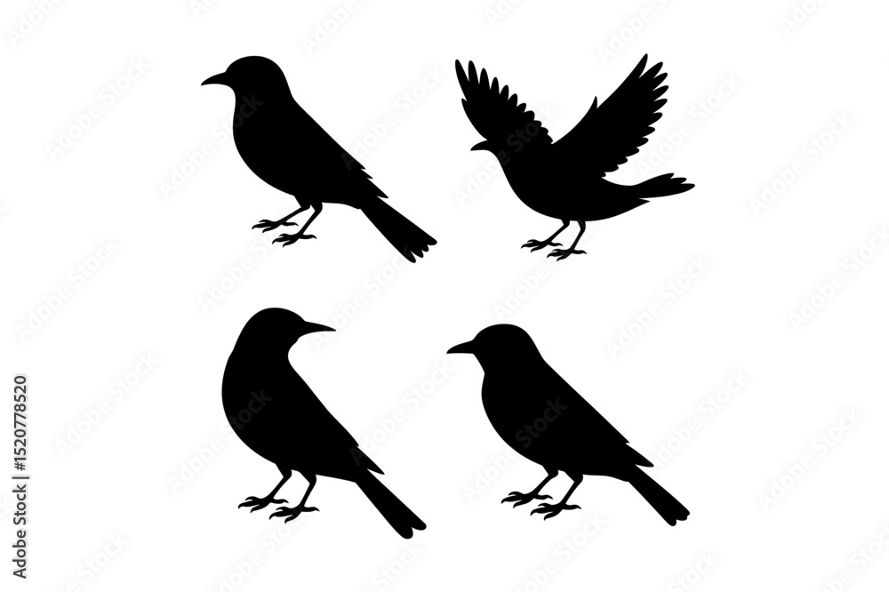 Four bird silhouettes in various poses on white Four bird silhouettes in various poses on white