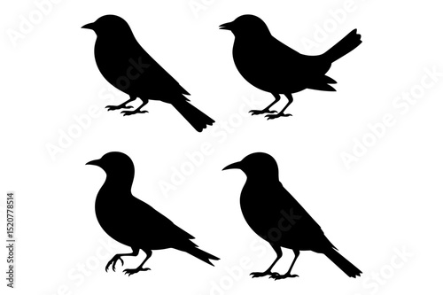 Wallpaper Mural Four bird silhouettes in various standing poses Torontodigital.ca