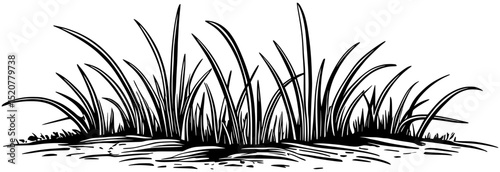 grass vector elements