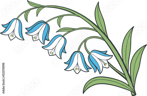 Elegant bluebell illustration on a white background floral vector design