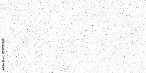 Terrazzo flooring texture polished stone and grain noise pattern old surface marble for background. white and black paper and marble texture. quartz surface for bathroom or kitchen countertop.