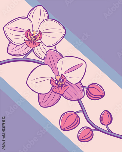 Elegant vector illustration of orchid flowers with a soft color palette