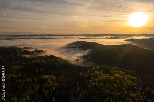 Aerial view of foggy woodland at golden hour in the morning