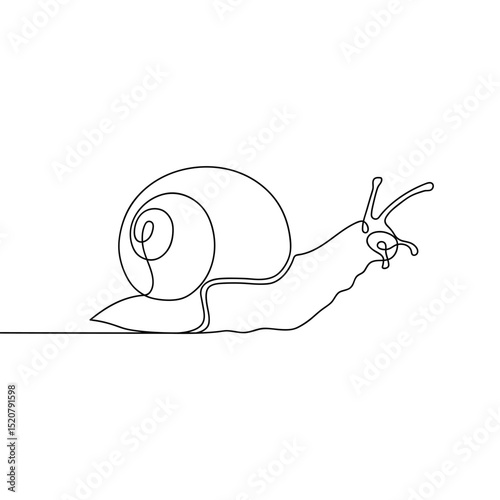 Continuous line drawing of conch snail shell. Minimalist black linear sketch isolated on white background. Hand drawn vector illustration.