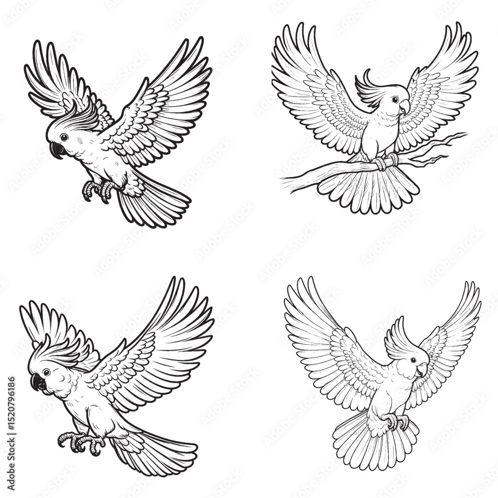 Fototapeta premium Cockatoo Silhouette – Elegant Exotic Bird with Distinctive Crest