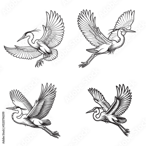 Heron Silhouette – Graceful Wading Bird with Long Neck and Legs