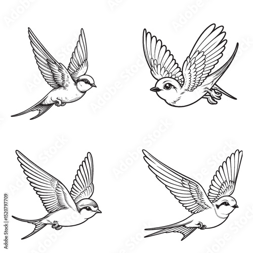 Swift Silhouette – Agile and High-Speed Bird in Motion