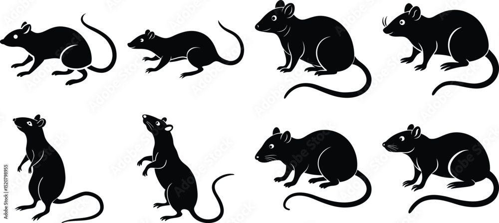 Obraz premium Set rat of silhouettes of withe Background 