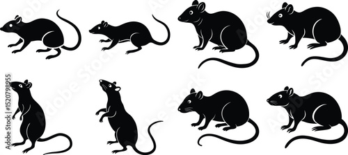 Set rat of silhouettes of withe Background  