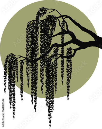Elegant Silhouette of Willow Tree Branch Hanging Against a Serene Green Circular Backdrop