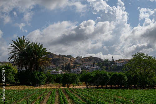 Title: Palm Trees, City View, Mountains and Atatürk Silhouette in Cyprus