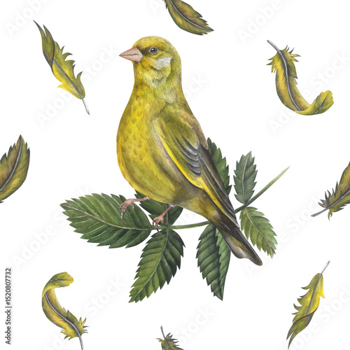 Seamless pattern of greenfinch bird and rosehip leaves isolated on white background hand drawn