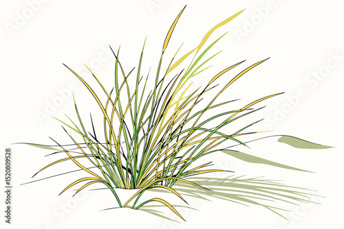 Simple illustration of grass with green and yellow blades on a white background