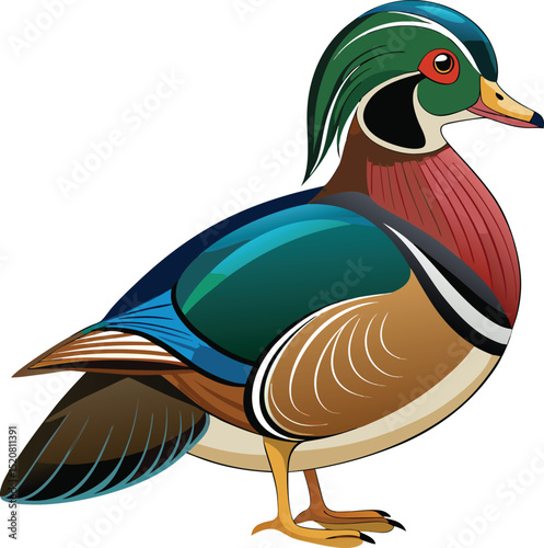 Wood duck bird in vibrant colorful artistic illustration vector design