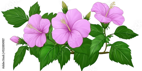 Beautiful pink hibiscus flowers with lush green leaves create vibrant and tropical atmosphere, perfect for adding touch of nature to any design, Isolated cutout on a transparent background