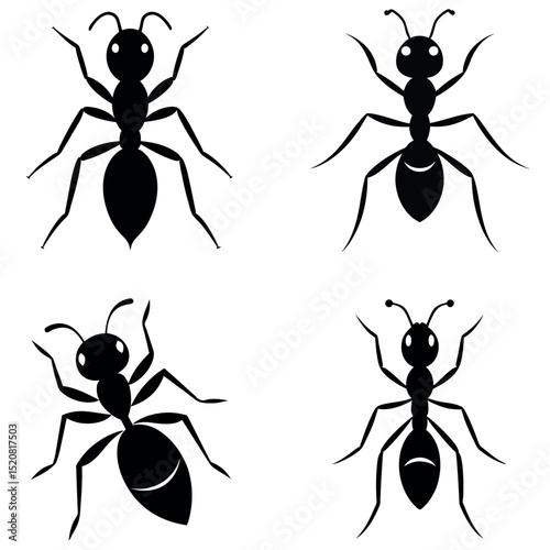 Black Silhouette Ant Illustrations Four Different Styles of Simple Ant Design on White Background