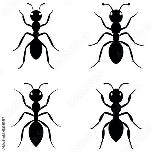 Four Black Ant Illustrations on White Background Insect Icons, Pest Control Graphics