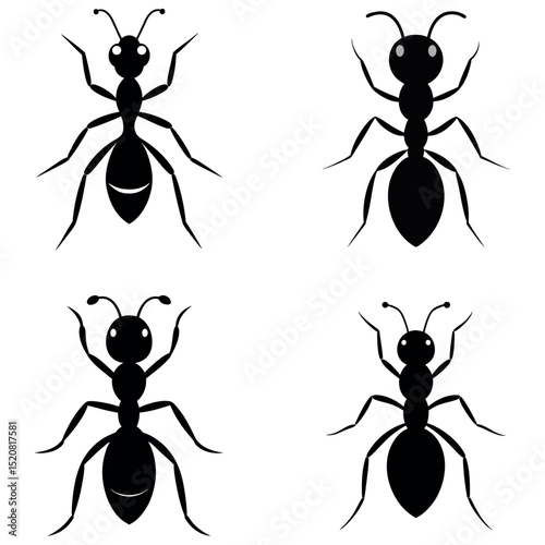 Art Four Black Ant Silhouettes with Different Abdomen and Eye Shapes