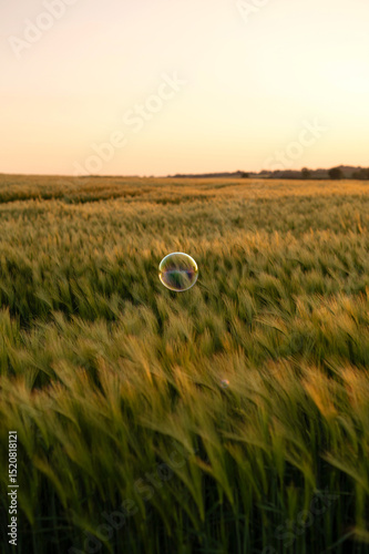 Single soap bubble floating over a field