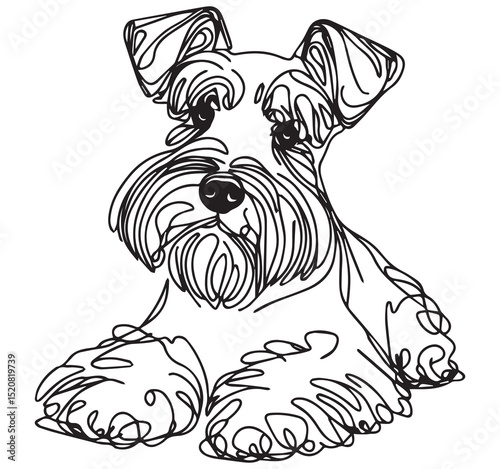 Cute Schnauzer dog continuous line art drawing sketch pet animal illustration simple black and white outline