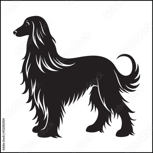 Elegant Silhouette of Long-Haired Dog Standing in Side View